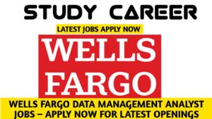 Wells Fargo Data Management Analyst Jobs
